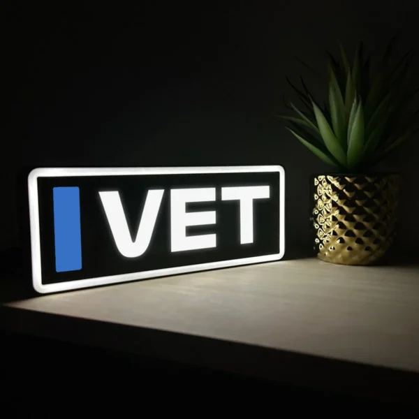 Sebastian Vettel Red Bull Racing F1 Team Name Abbreviation Sign with LED Lighting F1 Racing Gift BLF1LEDA1VET1